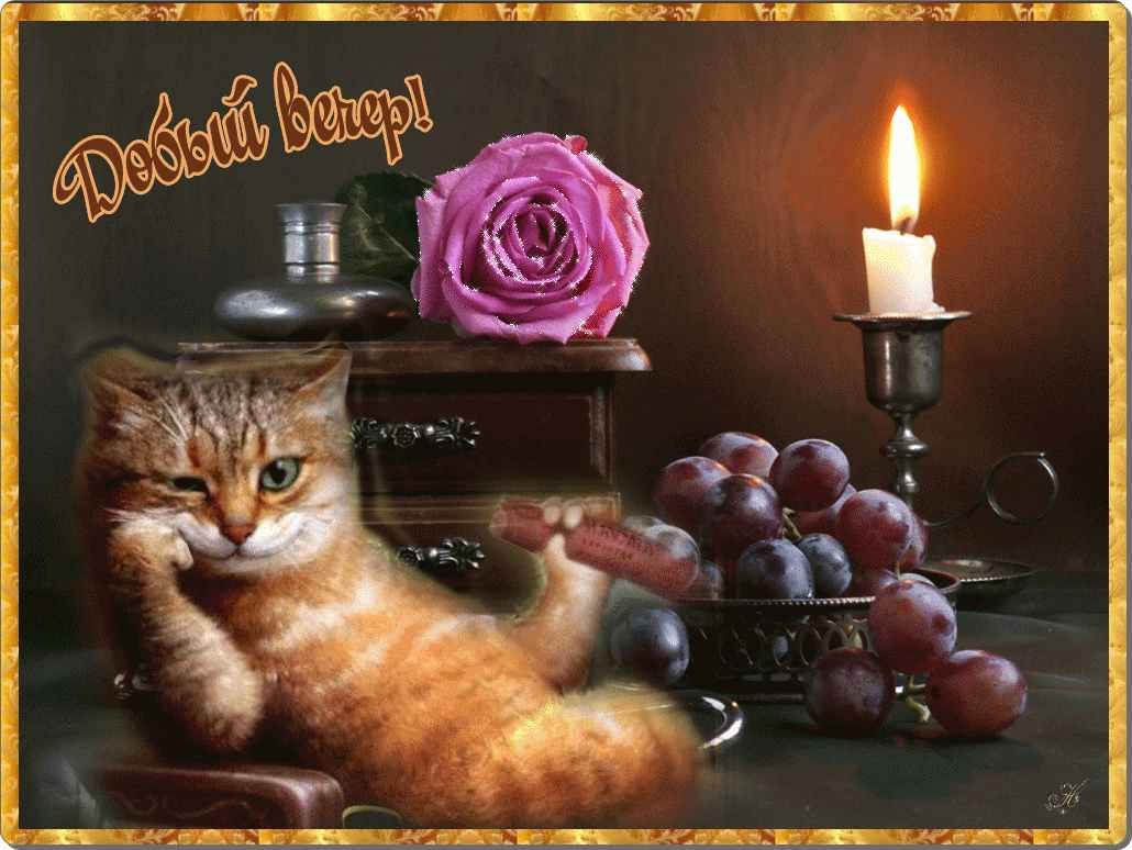 Вечерний чай цветы