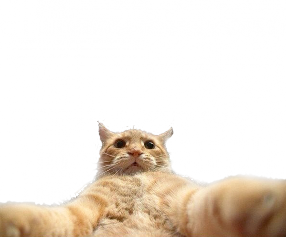 Веселые открытки про здоровье