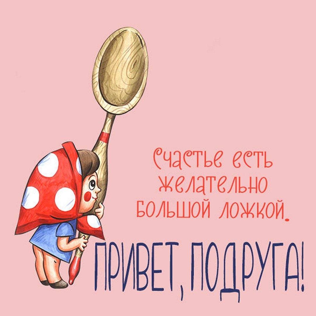 Кот в очках