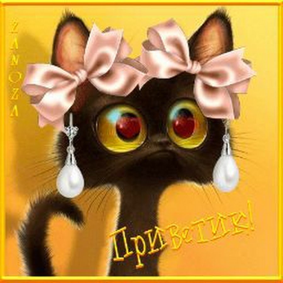 Милые котики для переговоров