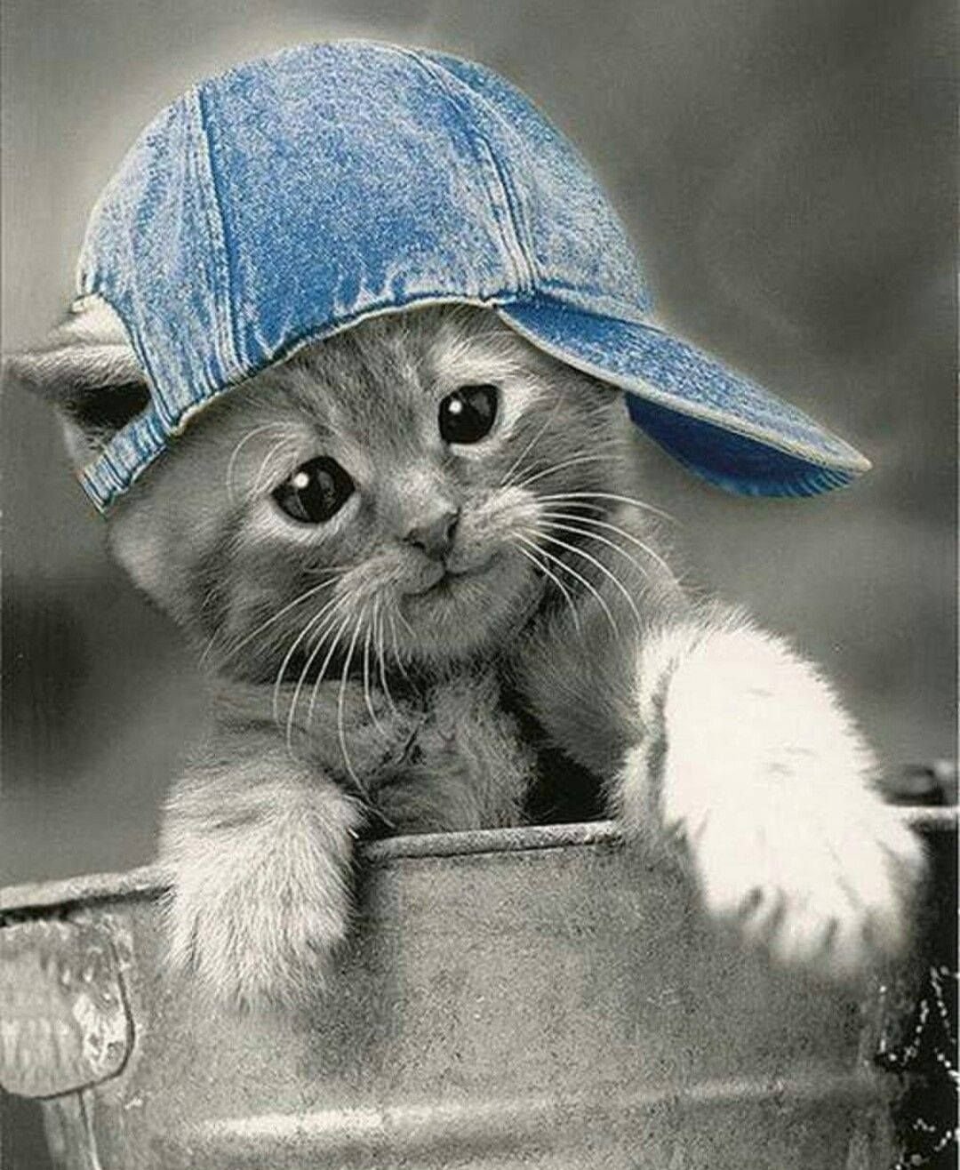 Доброе утро пятницы прикольные