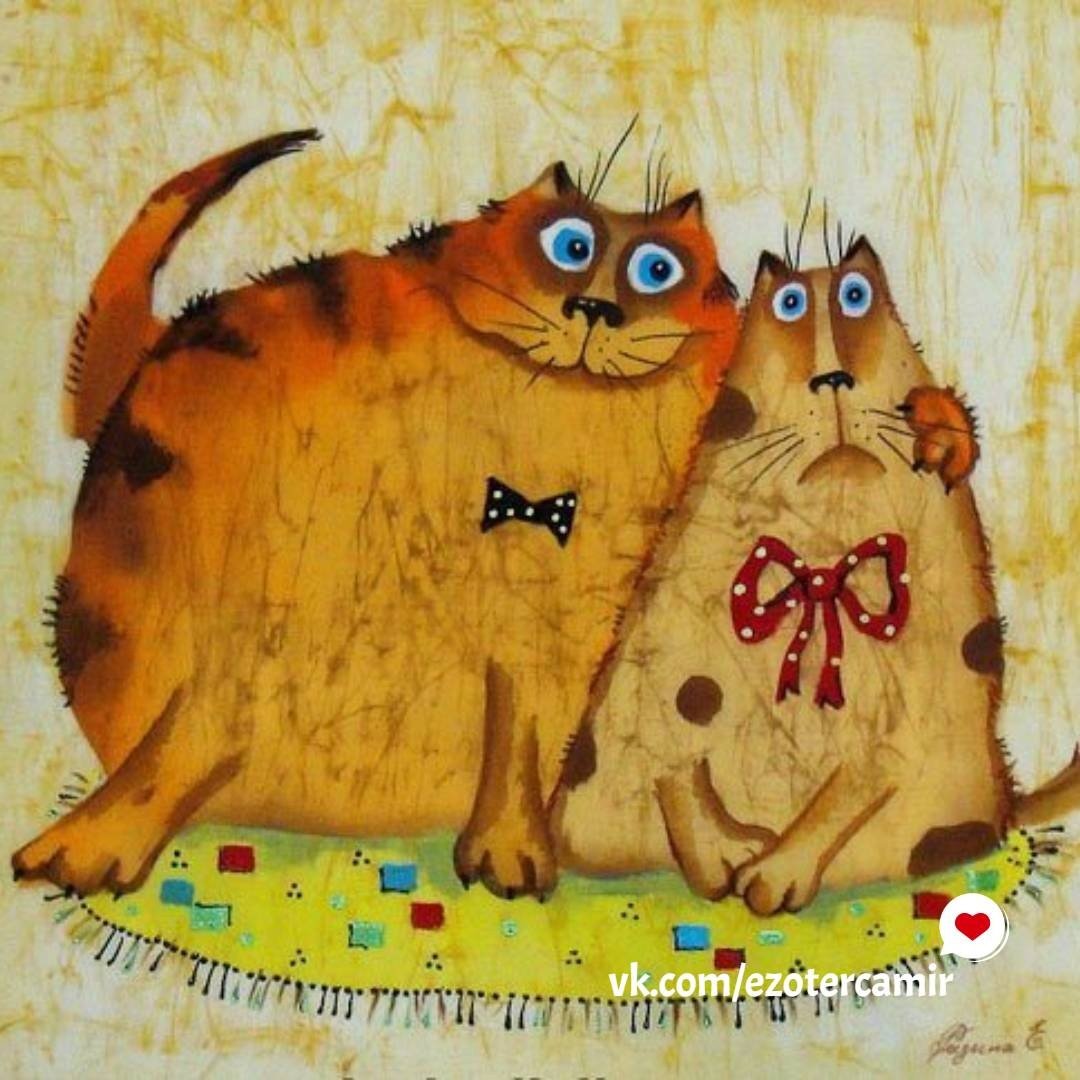 Облезлый кот