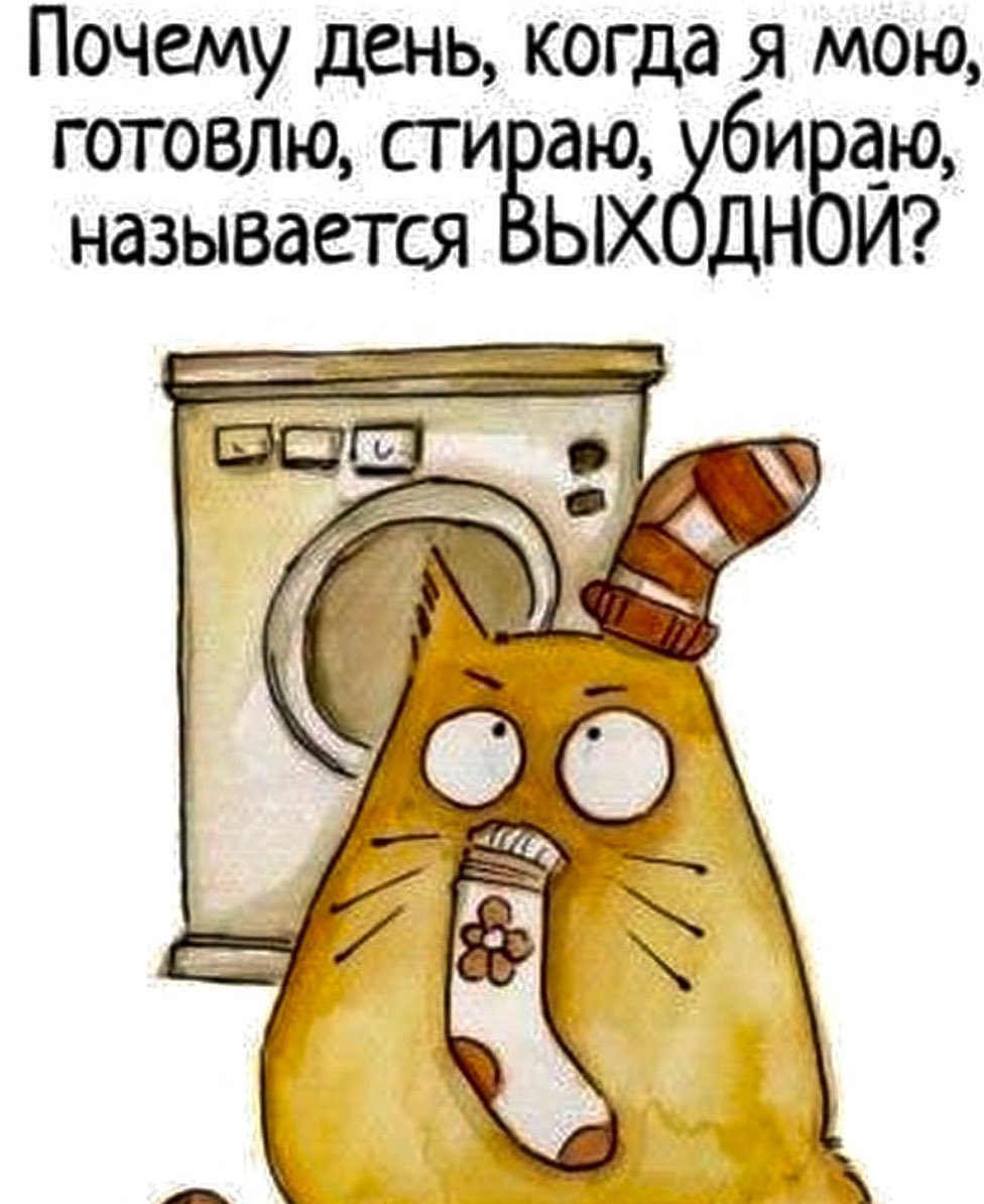 Maria van Bruggen смешные коты