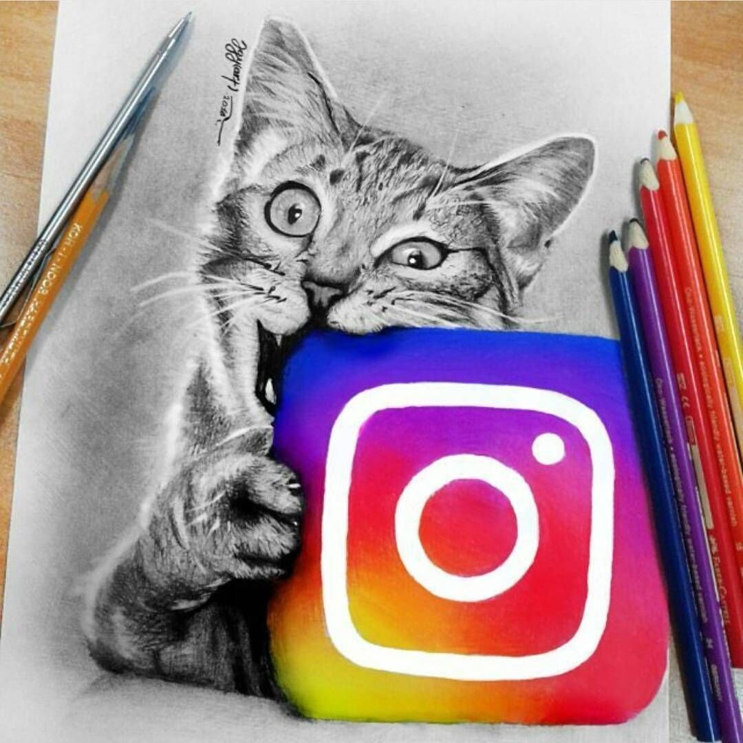 Кошка с короной на голове