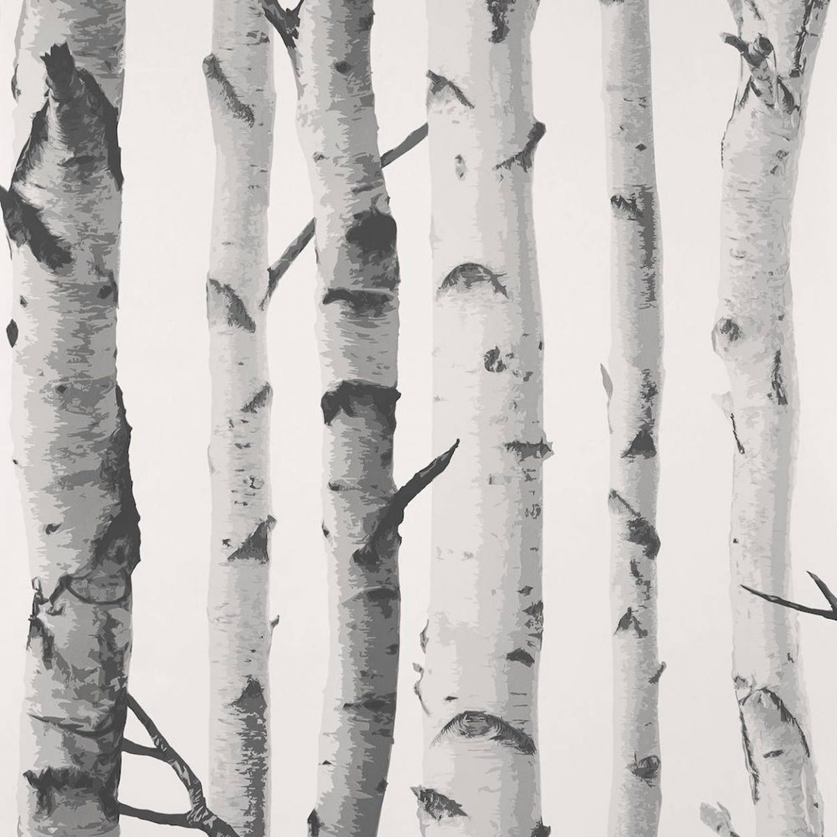 Береза на белом фоне для детей