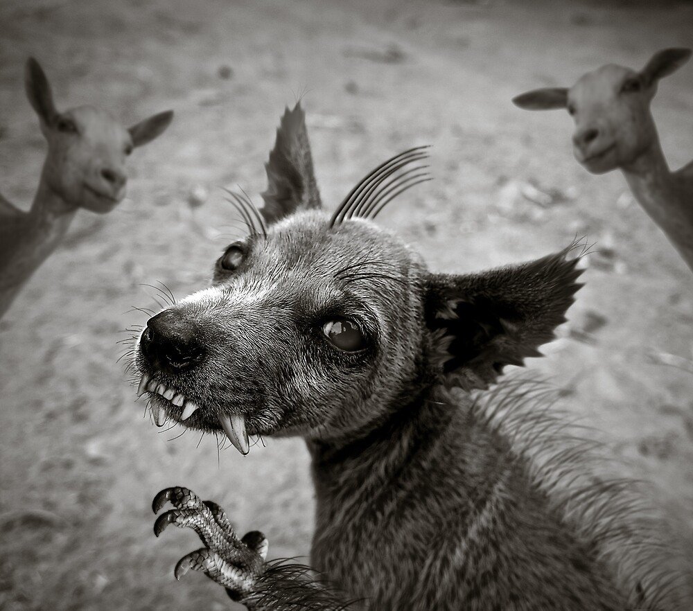 Эль чупакабра козий вампир