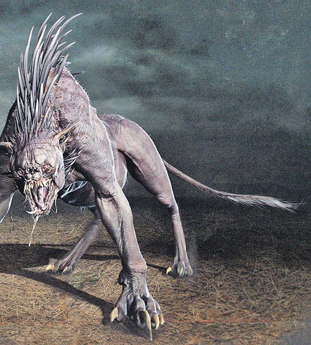 Енотовидная собака чупакабра