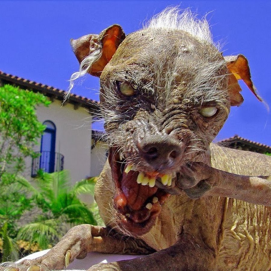 Портал Юрского периода Гремлин