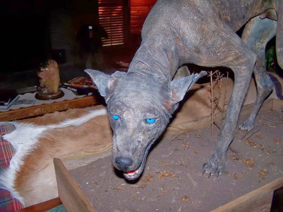 Чупакабра козий вампир