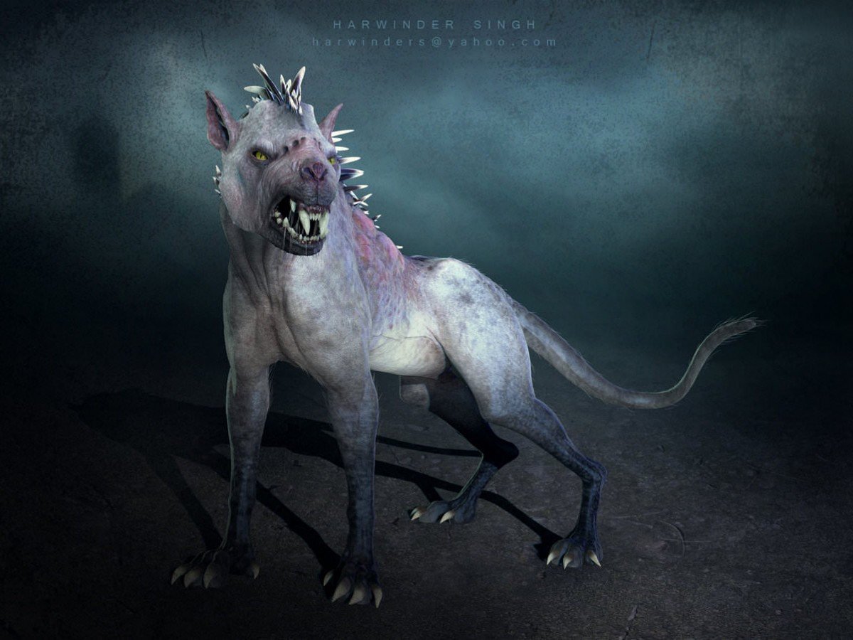 Китайская хохлатая собака Сэм