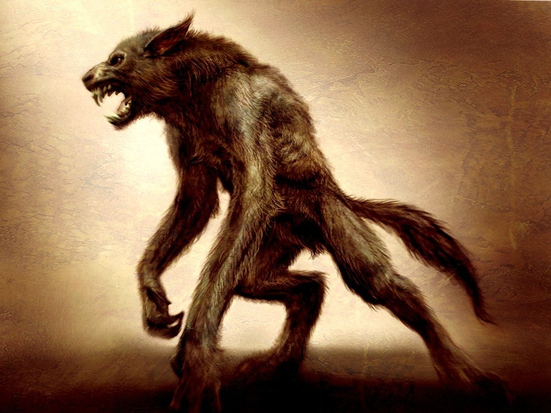 Чупакабра снятая на камеру