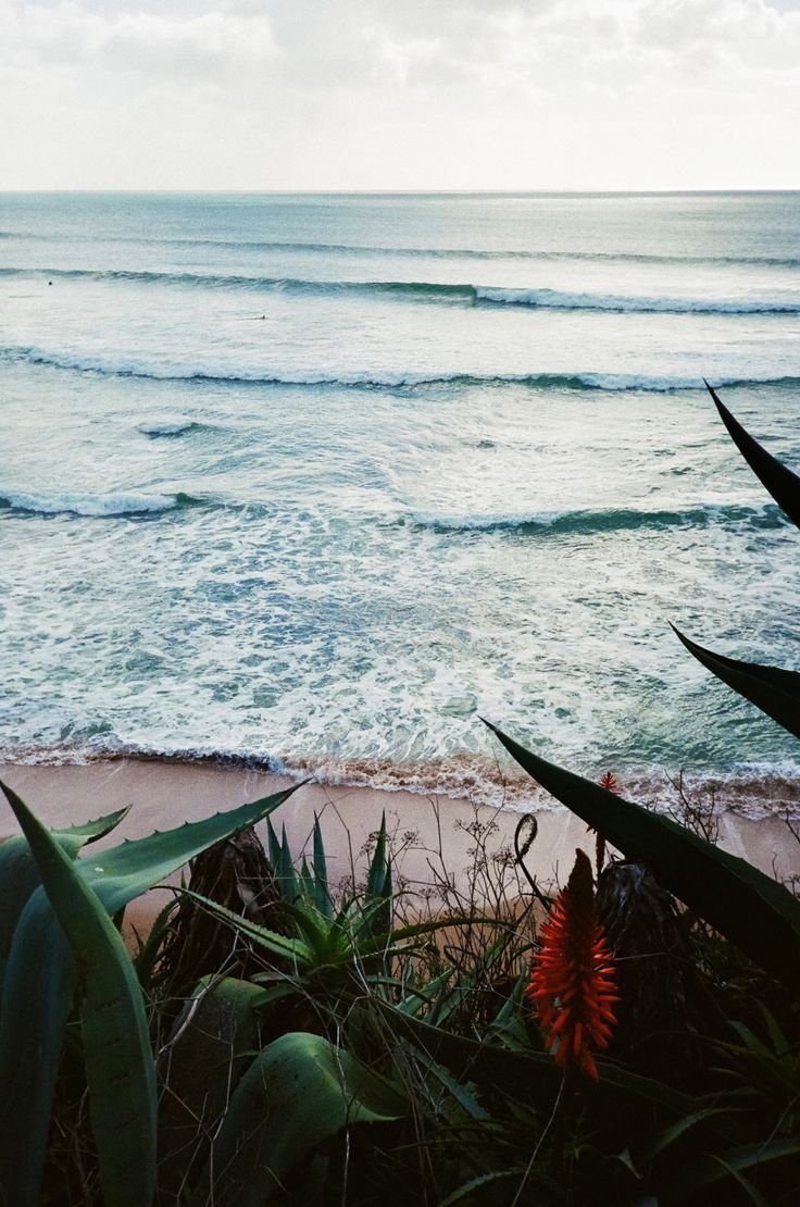 Эстетика моря летом