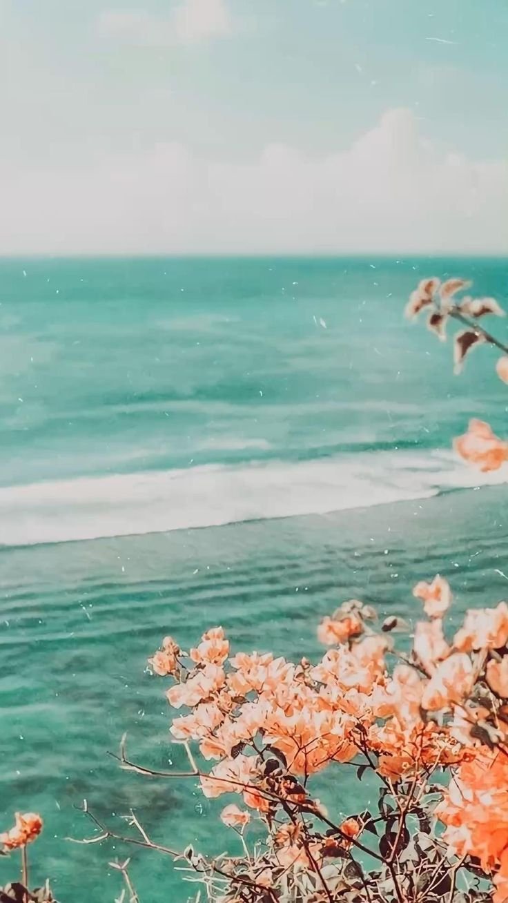 Природа Эстетика море