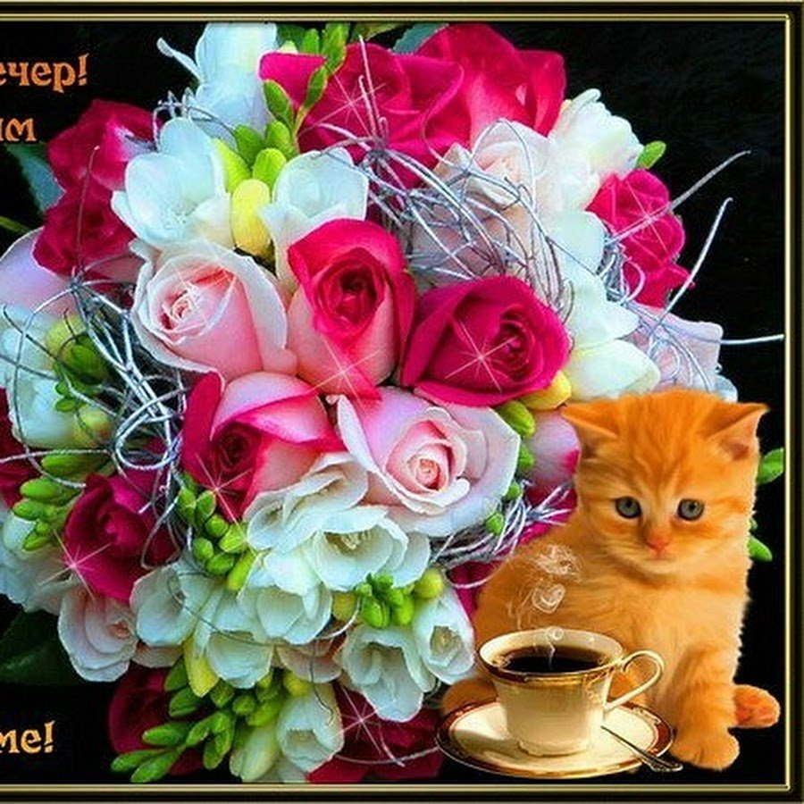 Открытки добрый вечер