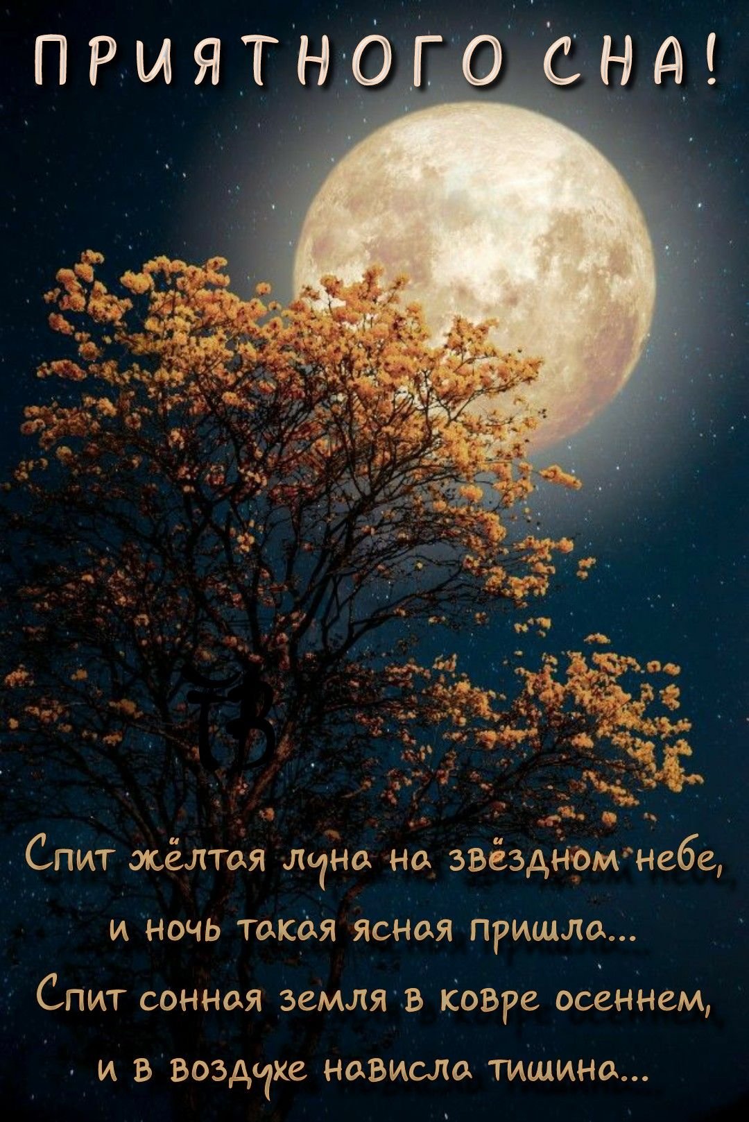 Buona notte природа