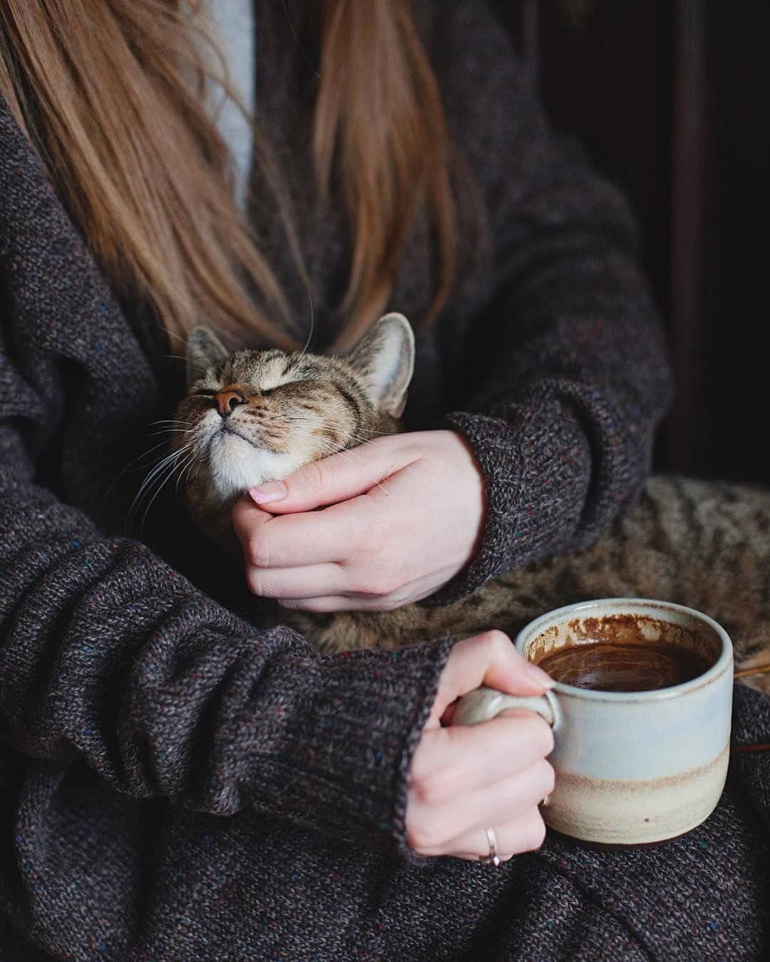 Утро кофе кот