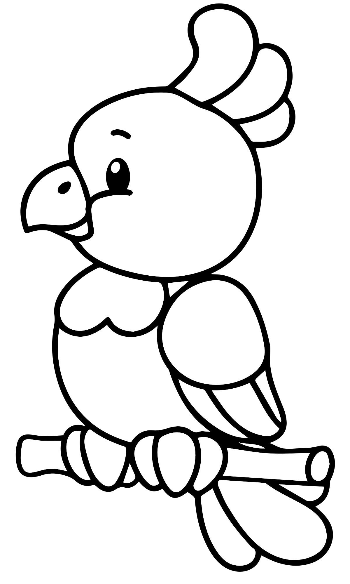 Попугай раскраска для детей