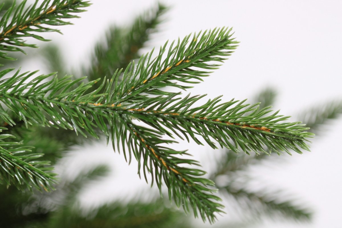 Ель искусственная царь елка Адель, 210 см