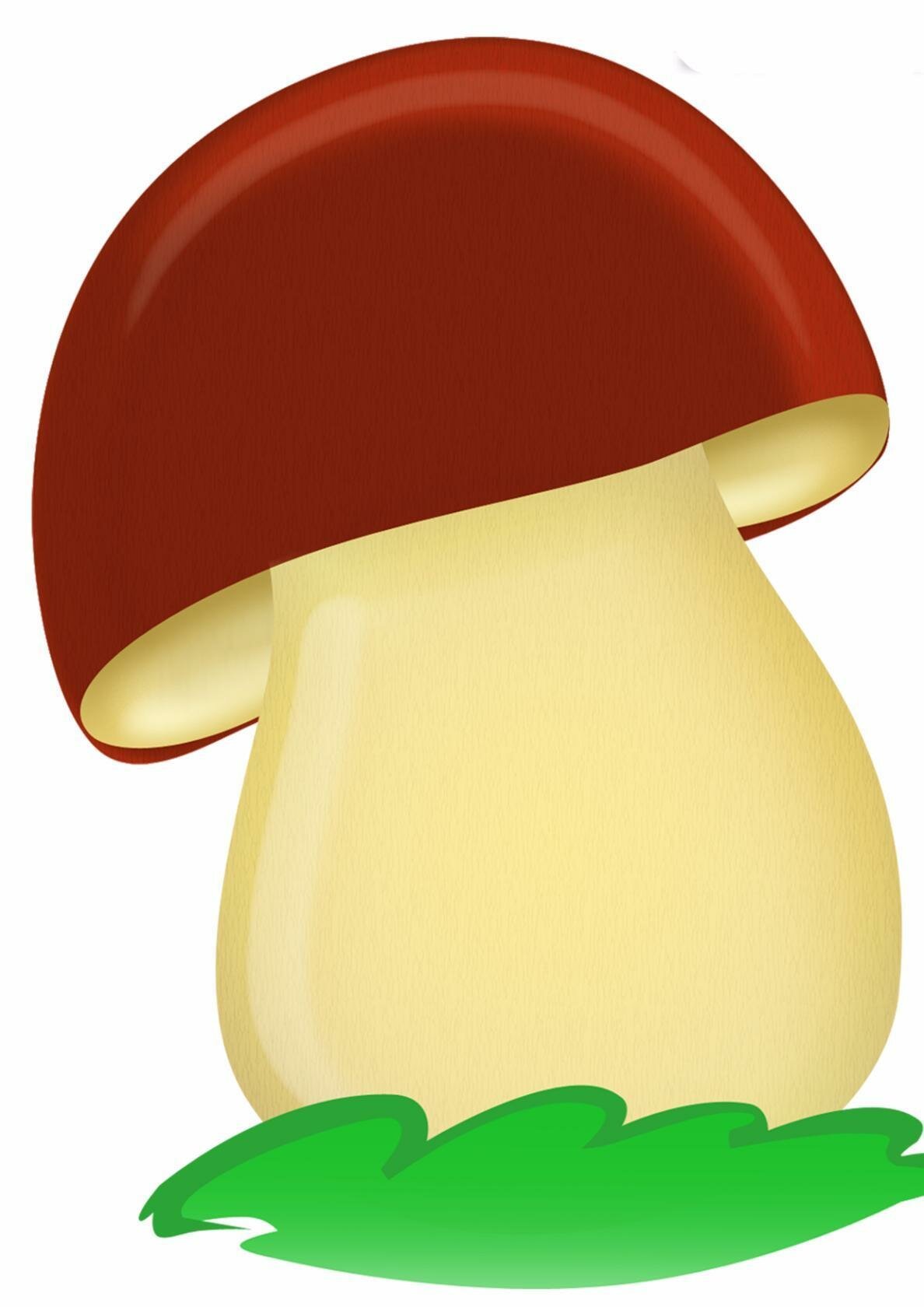 Гриб Боровик для детей