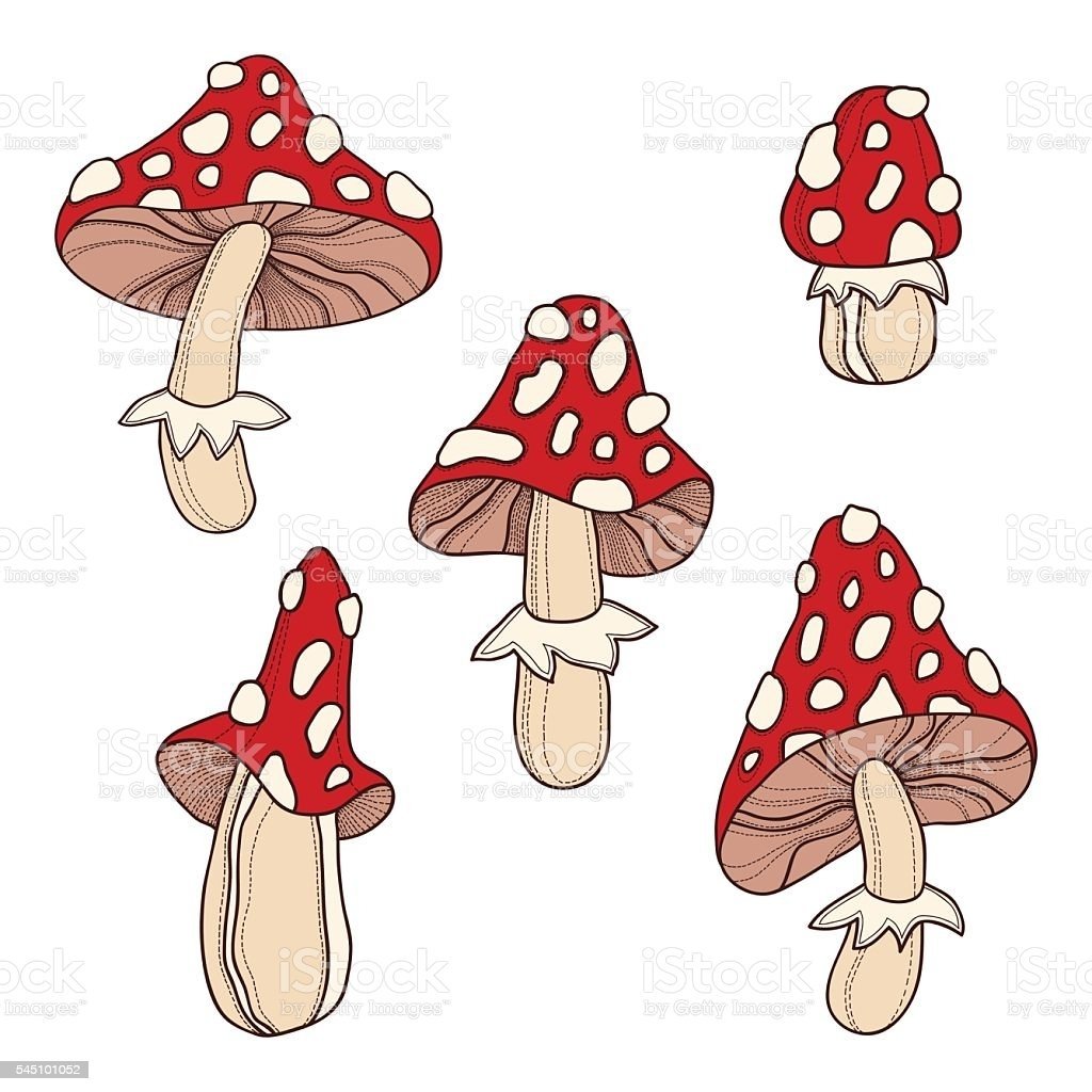 Грибы в мультяшном стиле