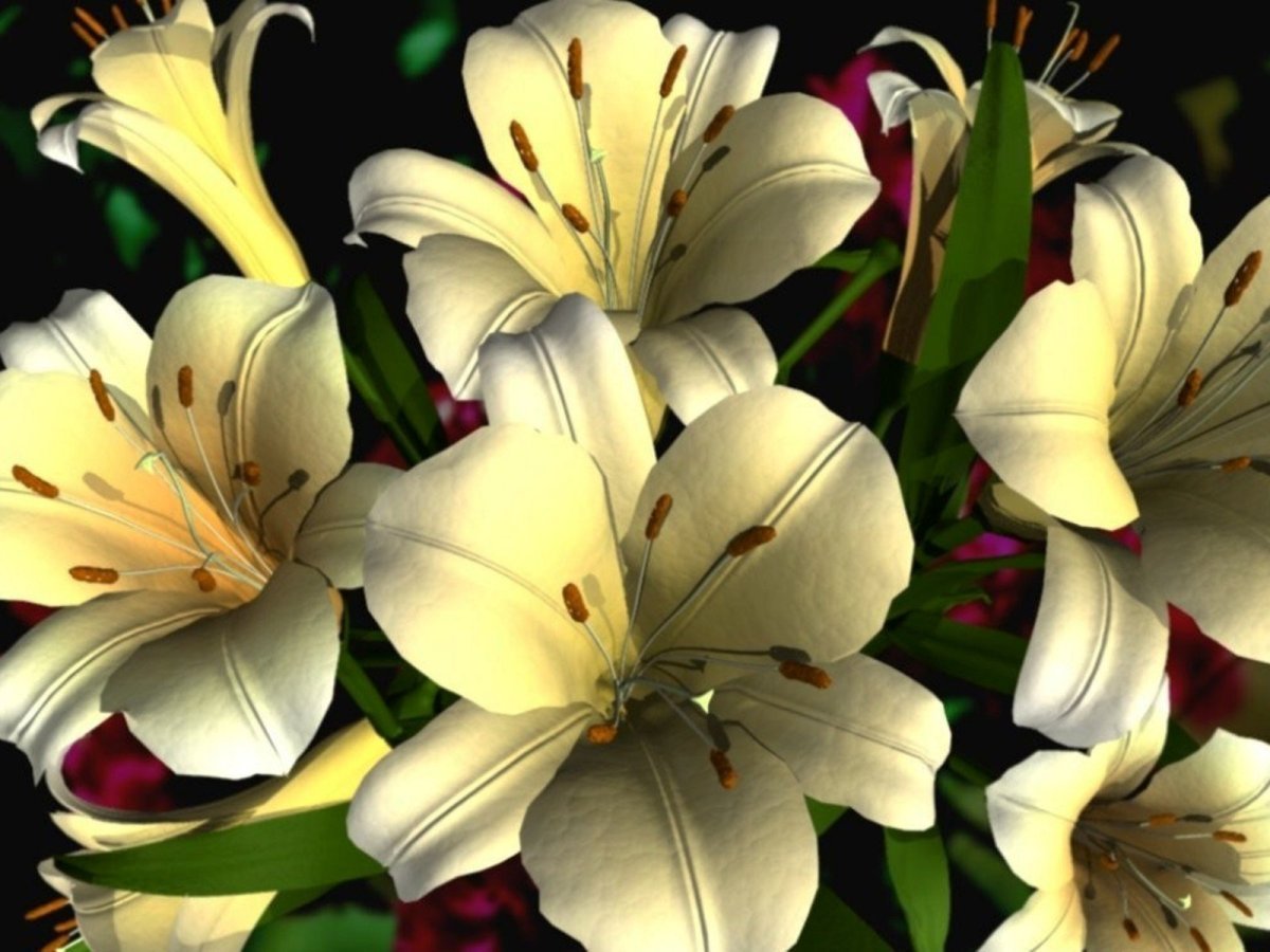 Живые лилии