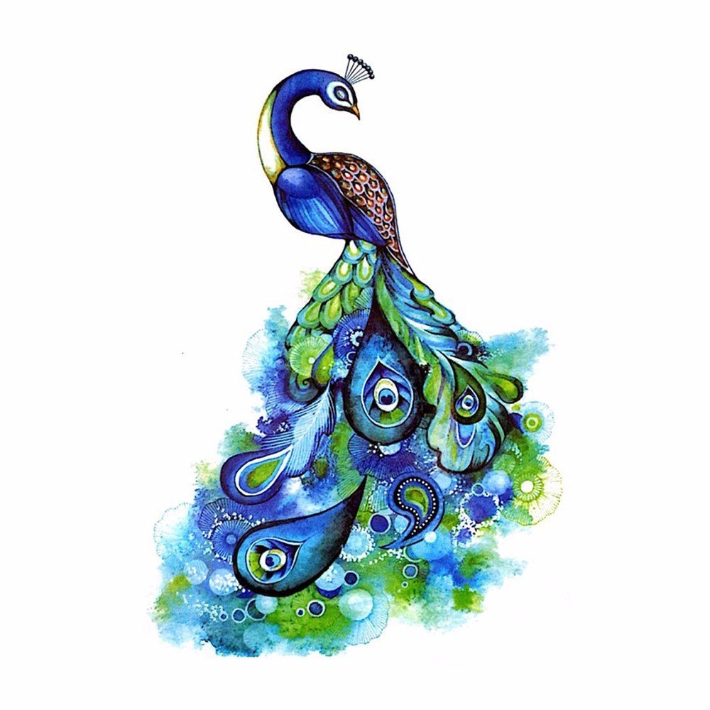 Павлин эскиз