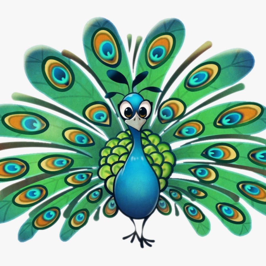 Павлин рисунок