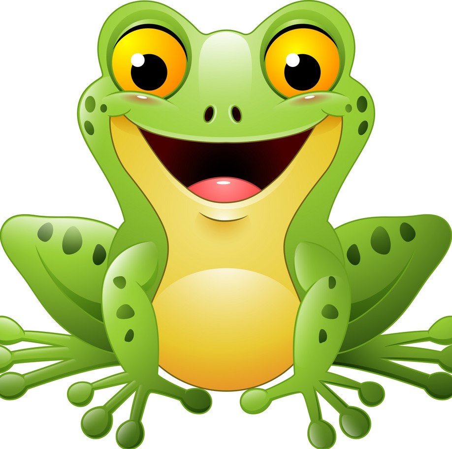 Лягушка вектор