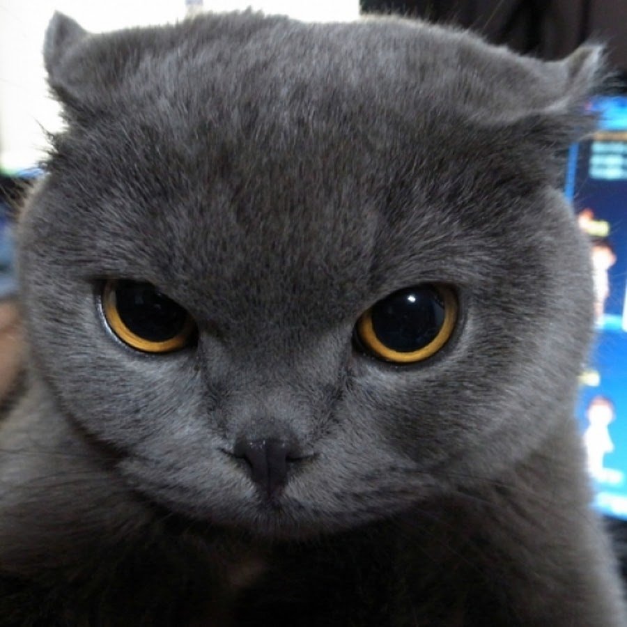 Хватит спать