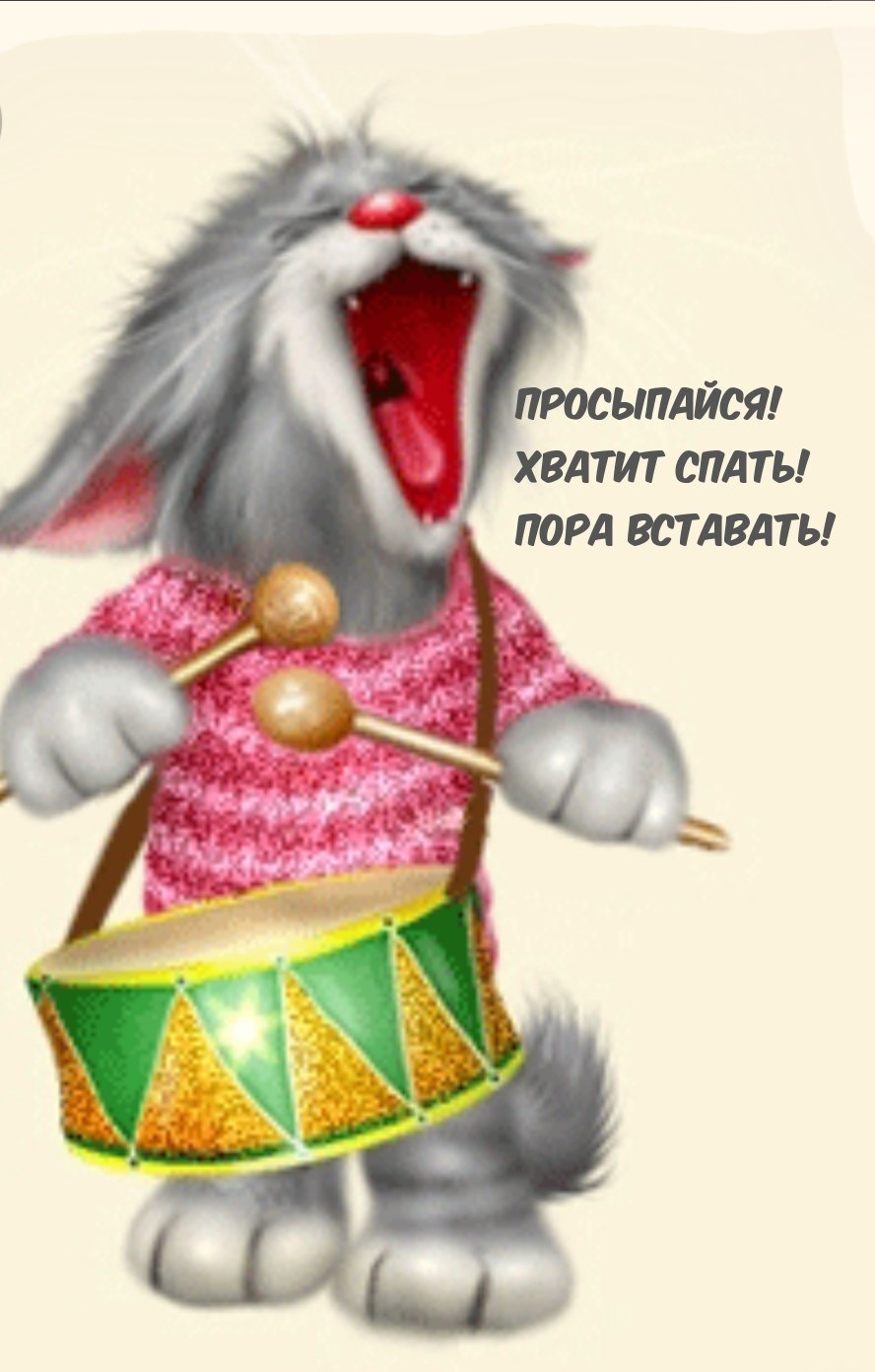 Коты Долотова Зодиак