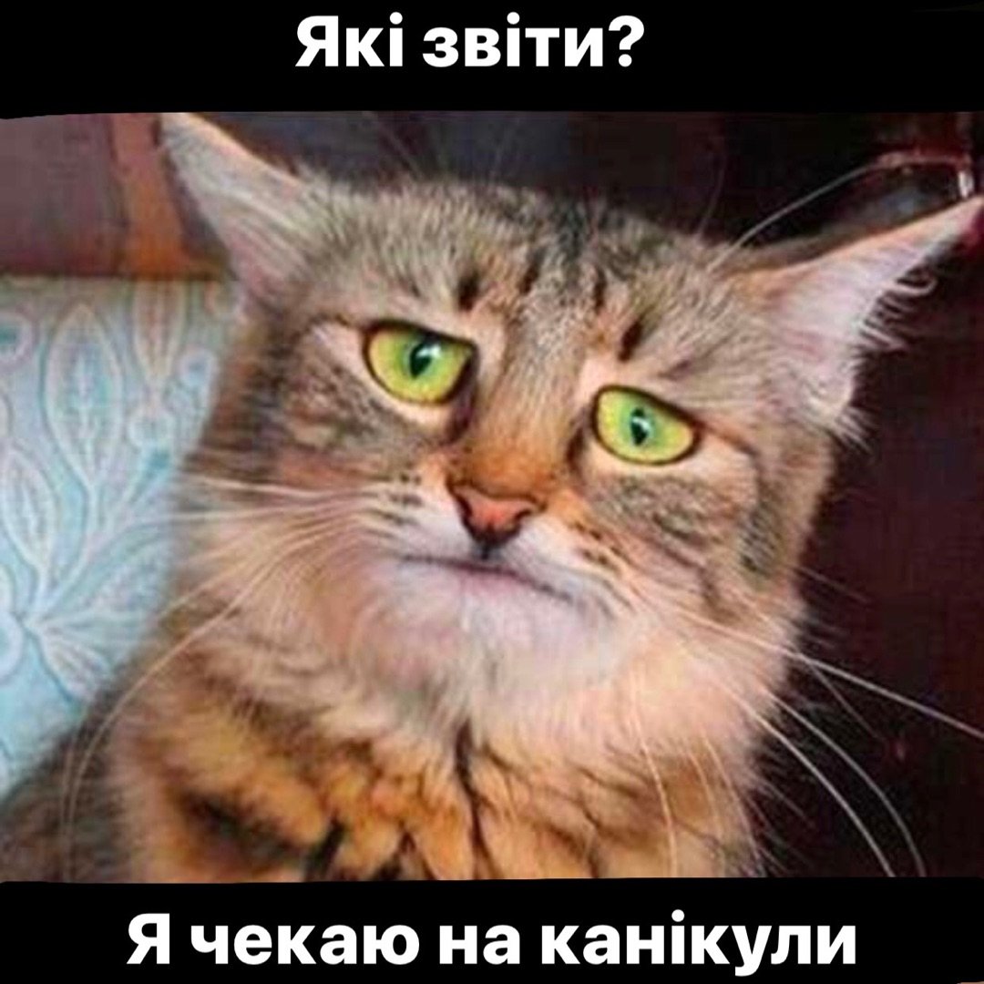 Завтра понедельник