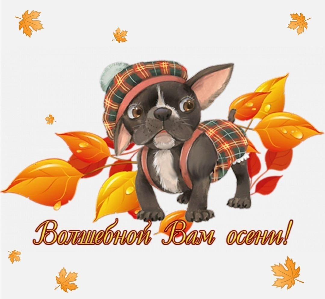 Хорошего осеннего дня прикольные