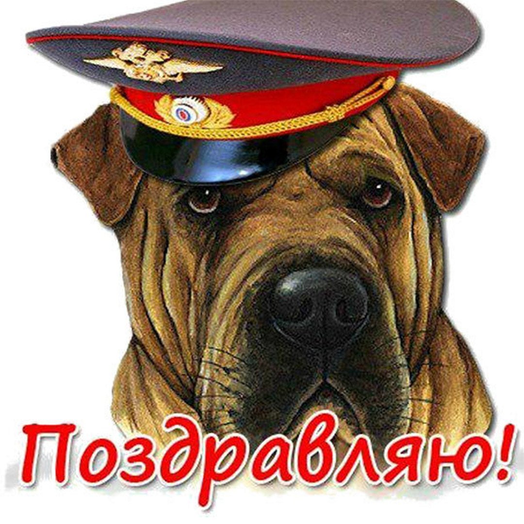 С днем милиции прикольные