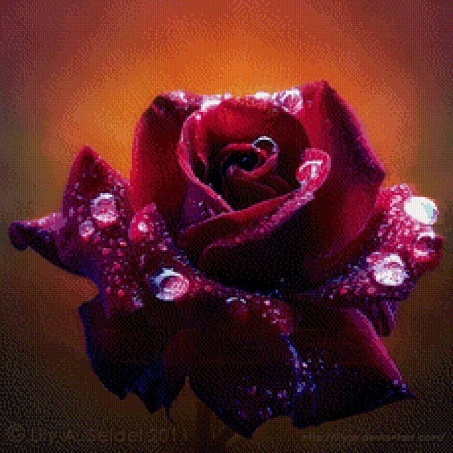 Красивые картинки