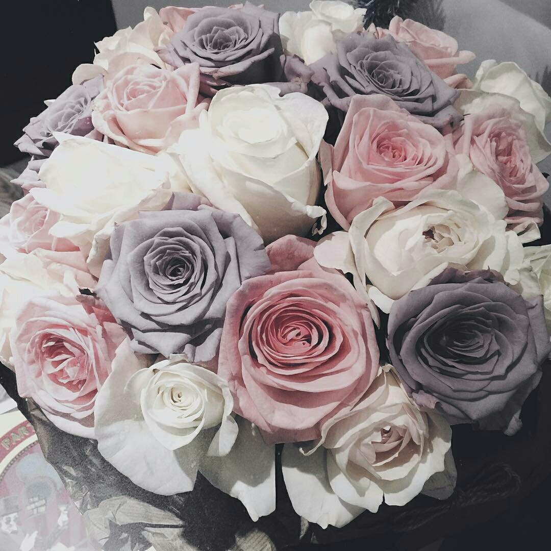 Голландские розы Мондиаль