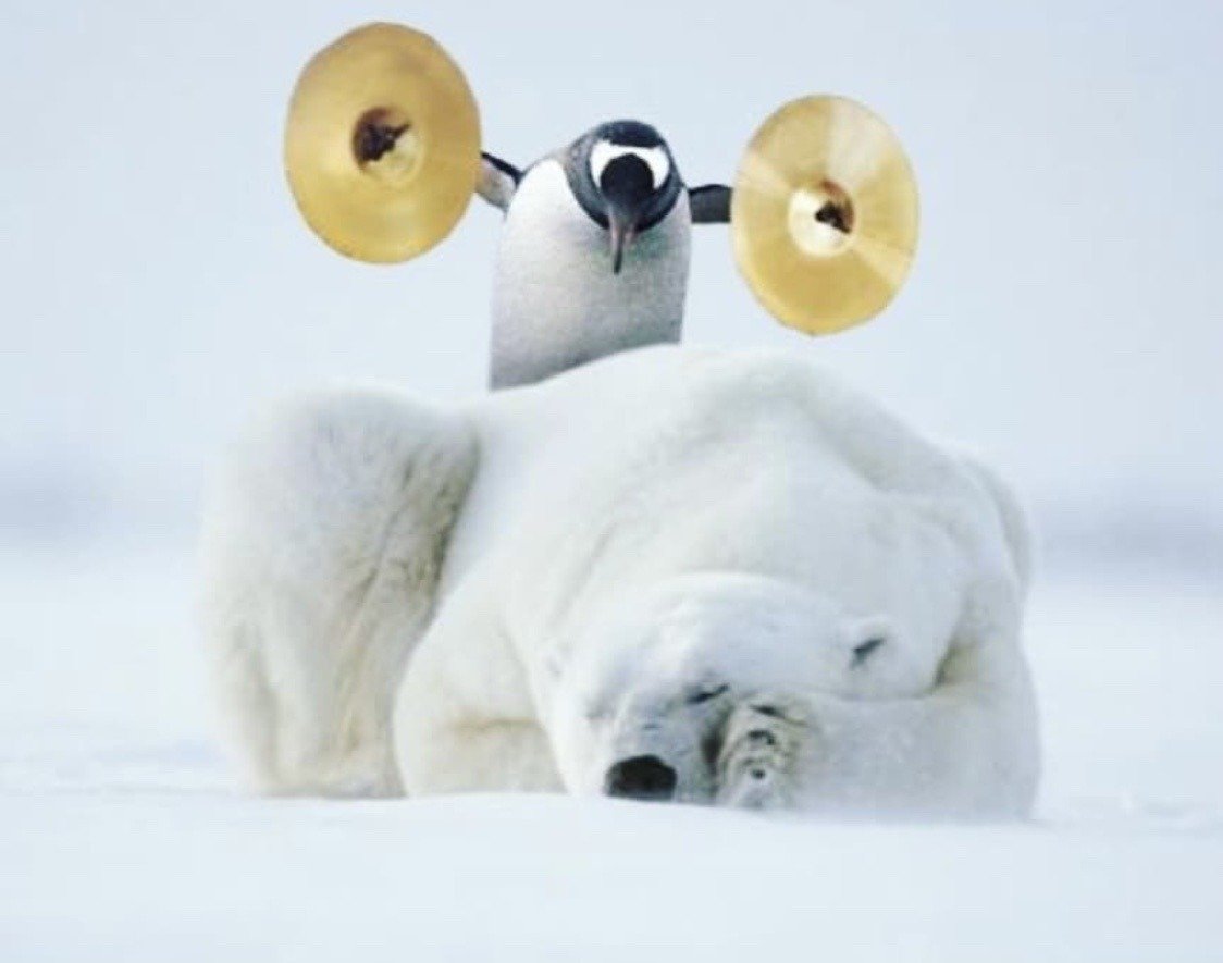 С добрым утром демотиваторы смешные