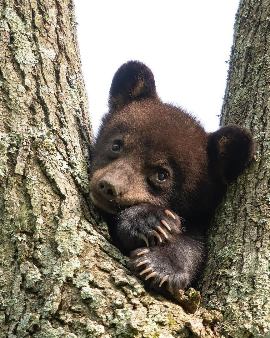 Пятничка пришла