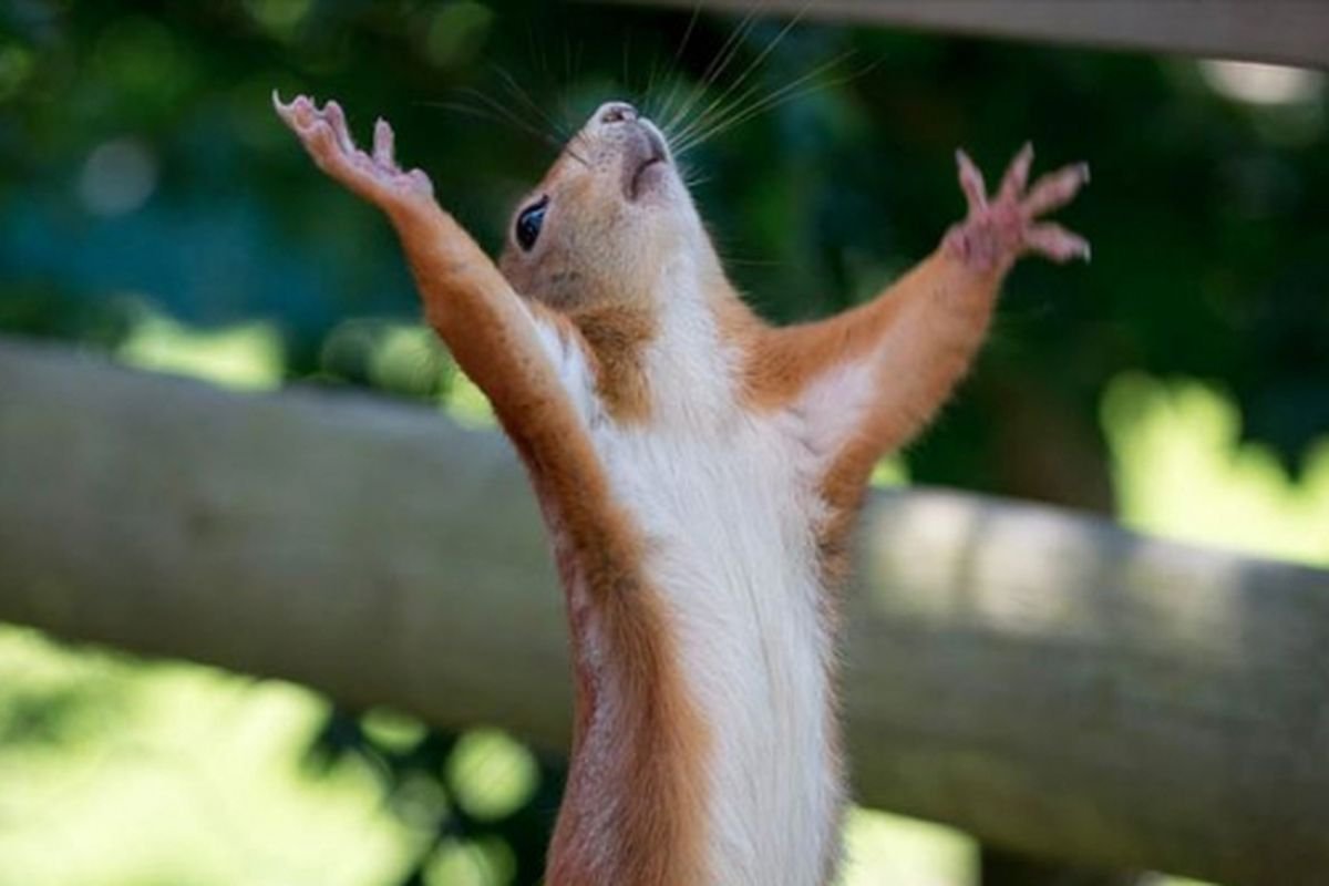 Наконец то воскресенье