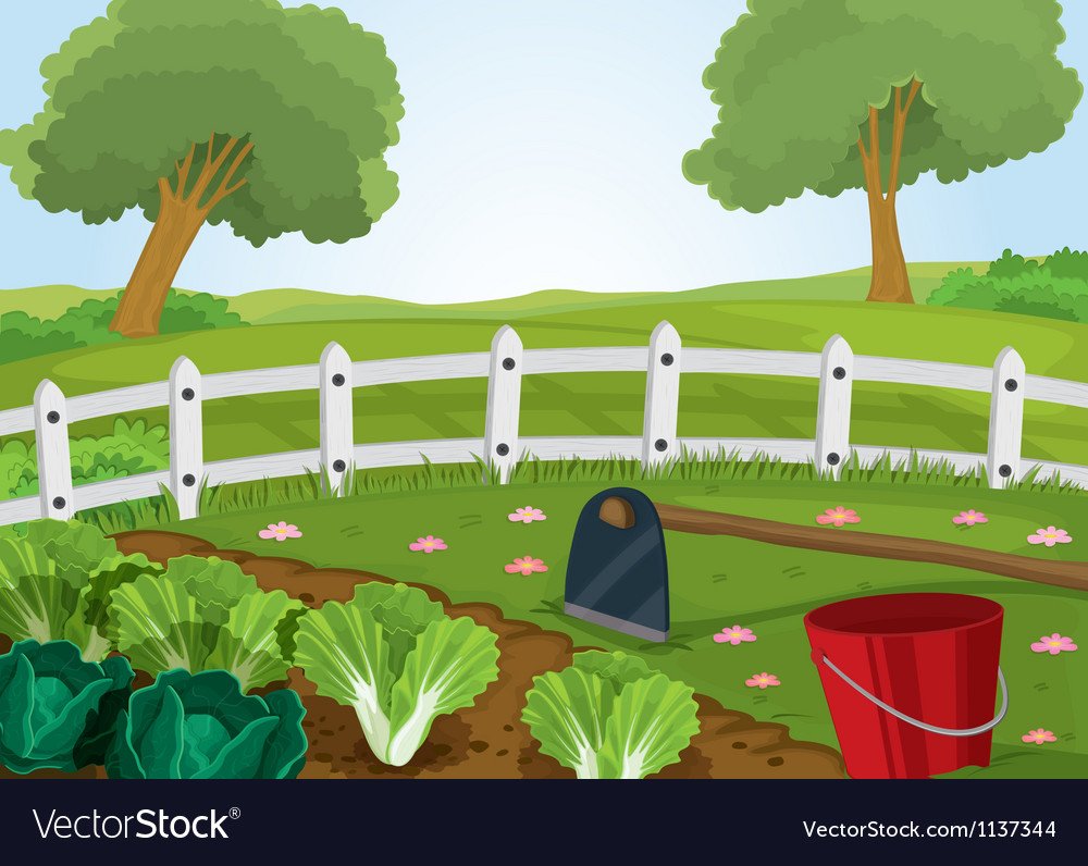 Огород картинка для детей