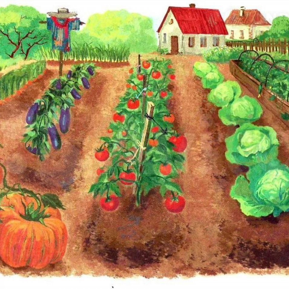 Огород с грядками для детей