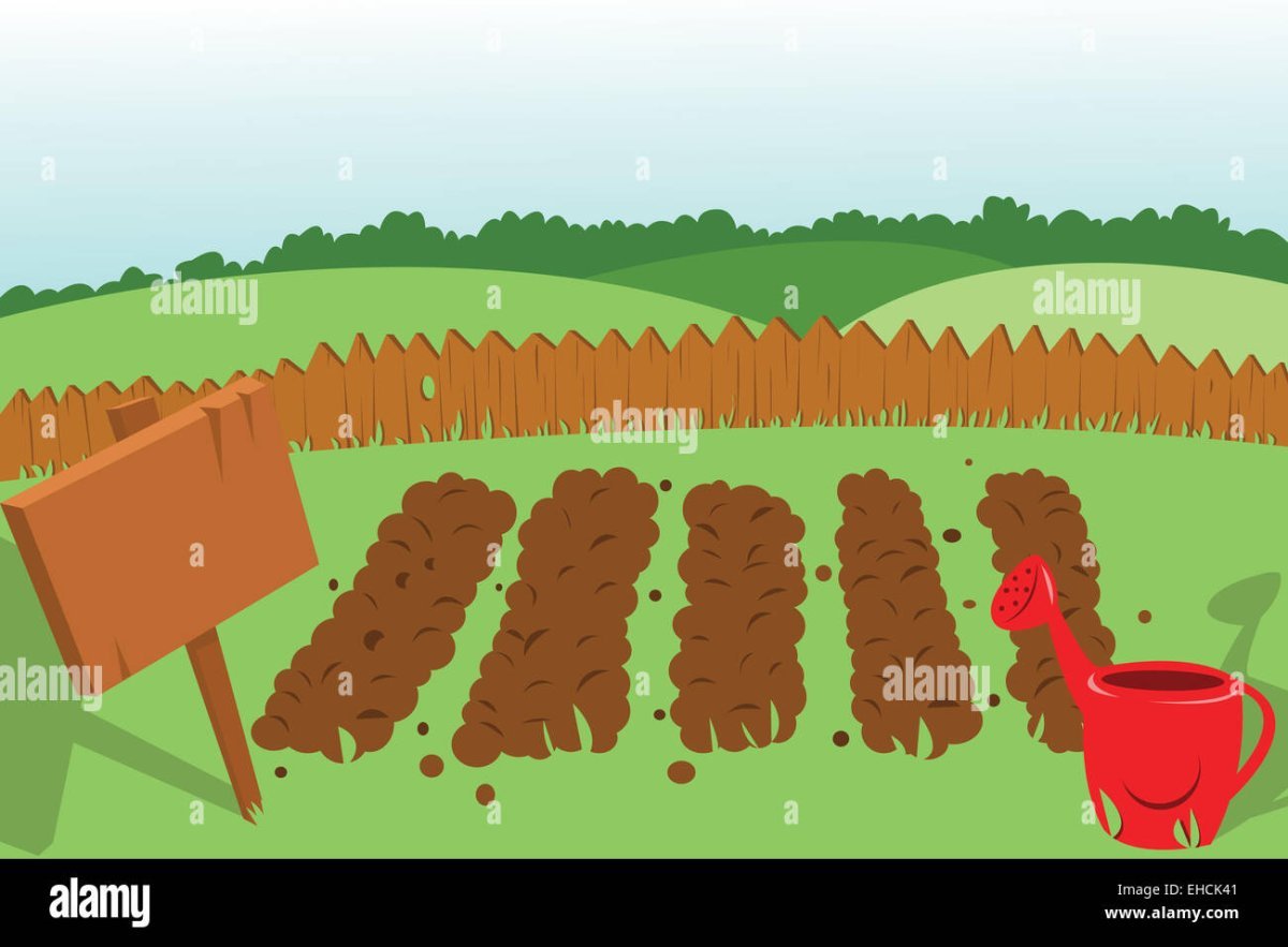 Грядка мультяшная