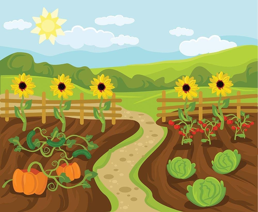 Огород картинка для детей