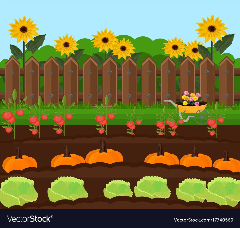 Макет огорода с грядками для детей