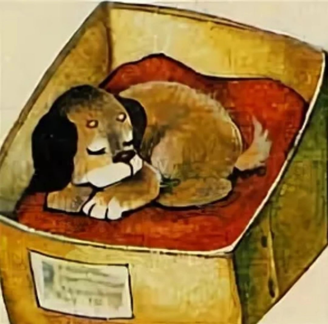 Щенок спит в коробке