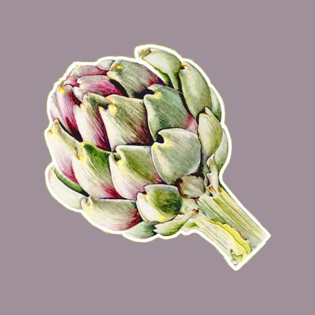 Артишок k03917