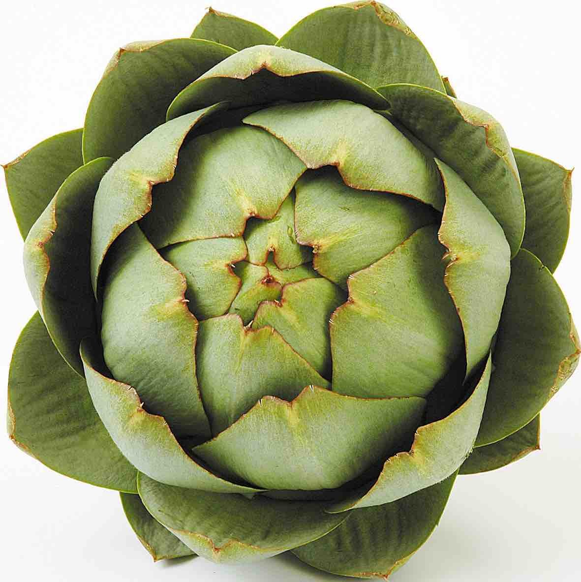 Nutrivita артишок