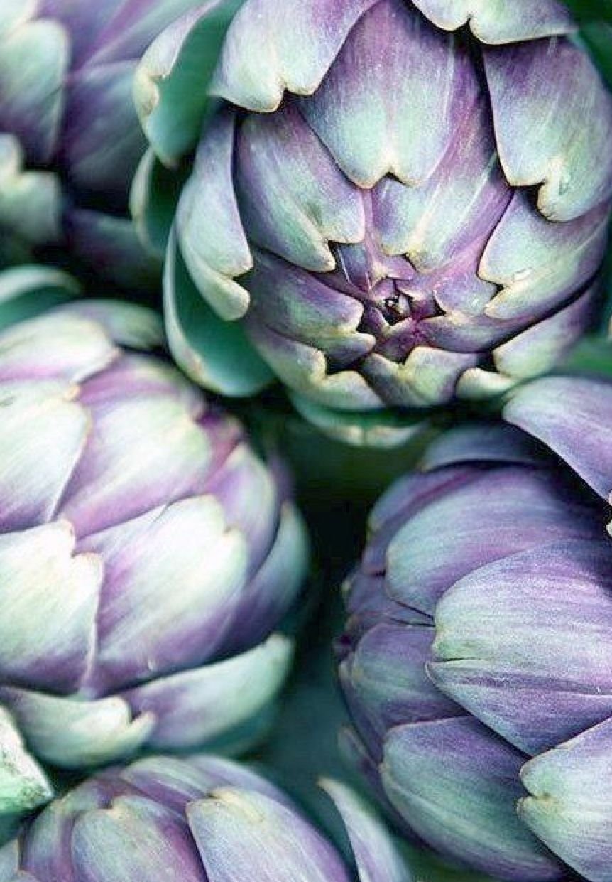 Артишоки маринованныесверху