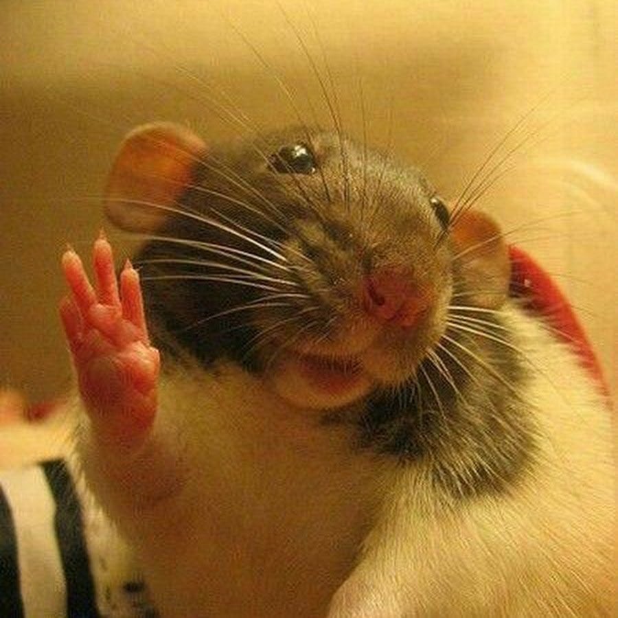 Мыши комикс юмор