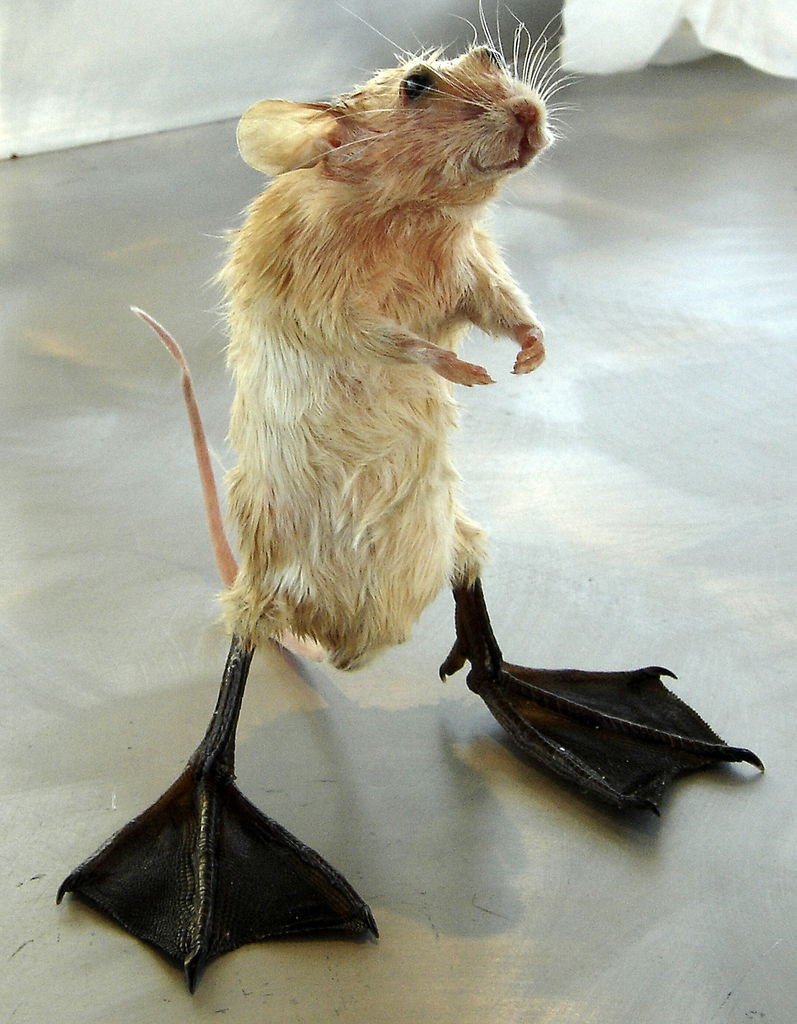 Прикольные рисуночки