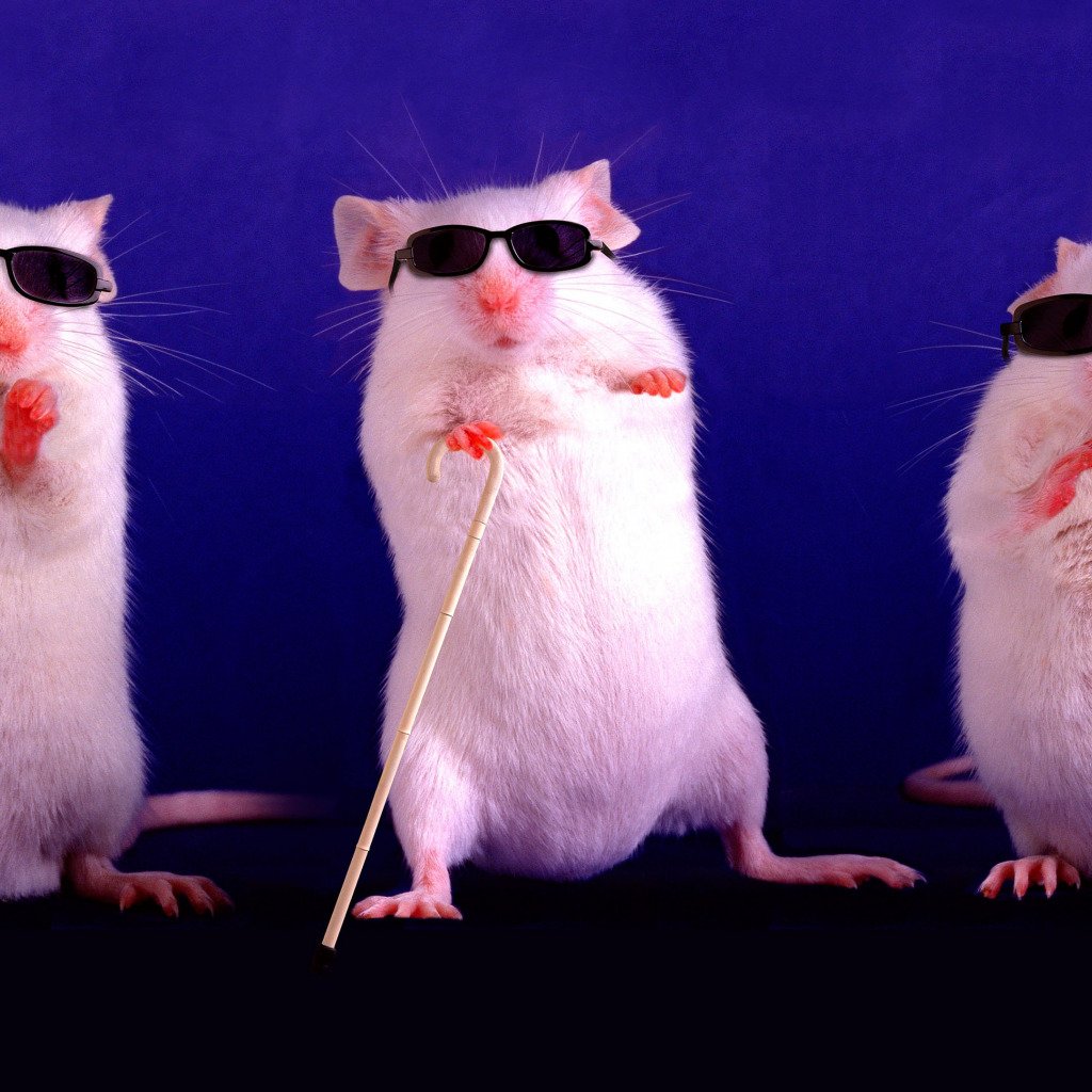 Курить Крис